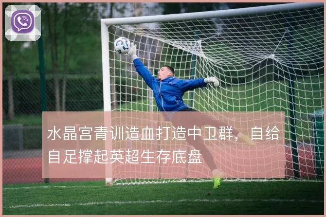 水晶宫青训造血打造中卫群，自给自足撑起英超生存底盘