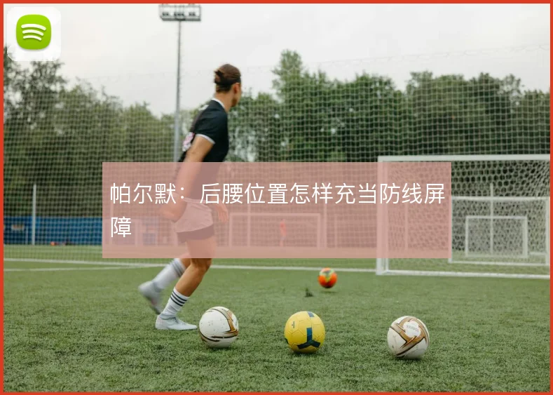 帕尔默：后腰位置怎样充当防线屏障