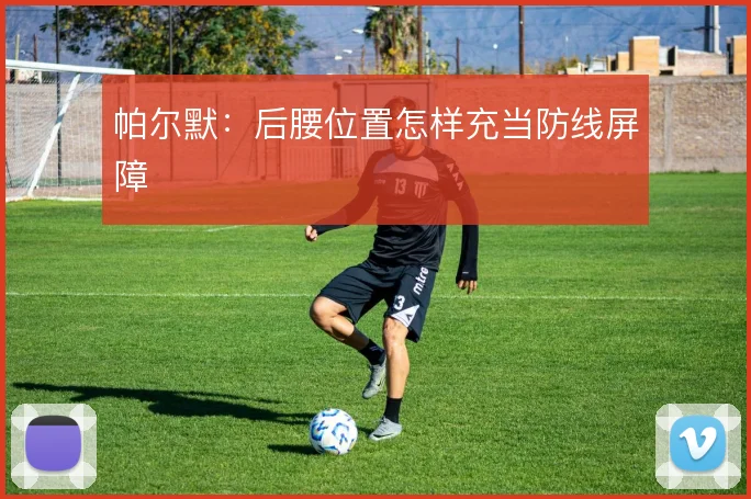 帕尔默：后腰位置怎样充当防线屏障
